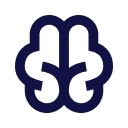 A brain
